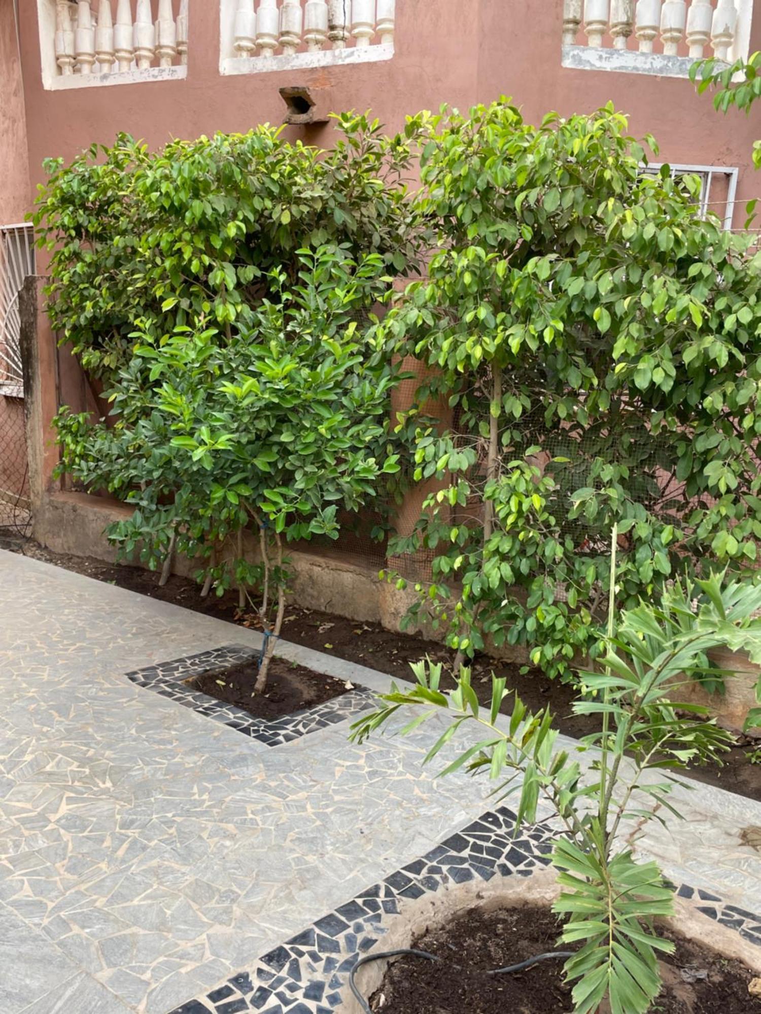 Villa18 Safari Village Saly 外观 照片